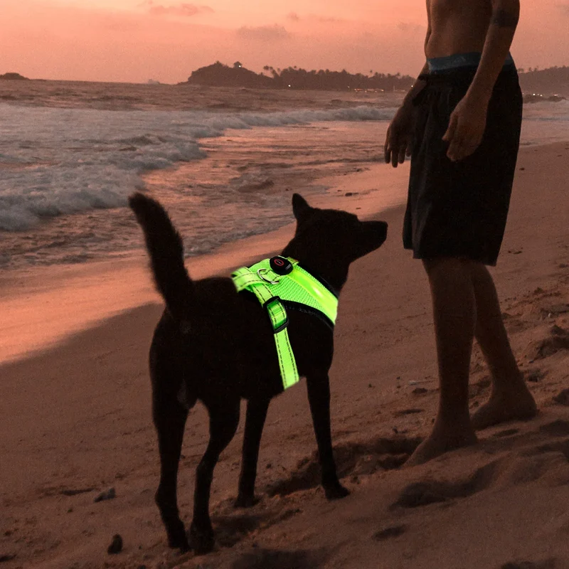 LED Hundegeschirr USB aufladbar & verstellbar