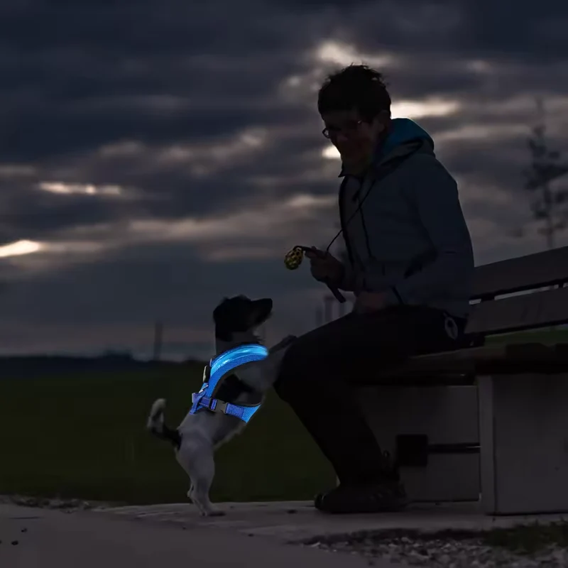 LED Hundegeschirr USB aufladbar & verstellbar