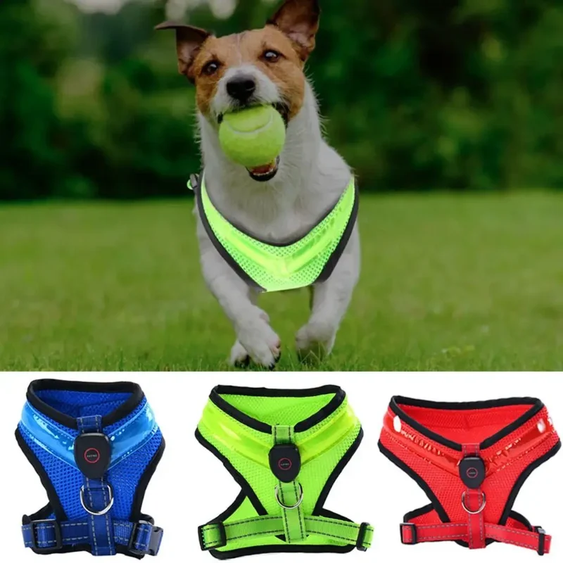 LED Hundegeschirr USB aufladbar & verstellbar