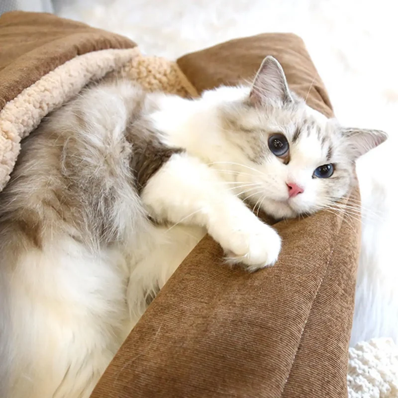Wendbare Haustiermatte für Hunde und Katzen faltbar