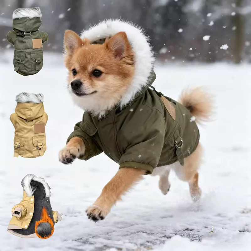 Hunde-Winterjacke mit Kapuze für kleine Hunde