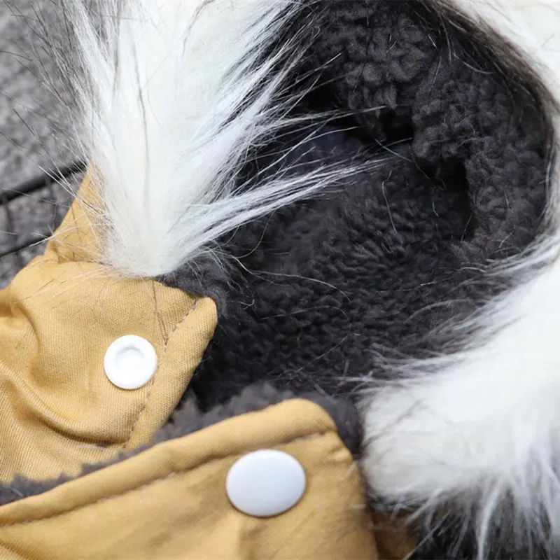 Hunde-Winterjacke mit Kapuze für kleine Hunde