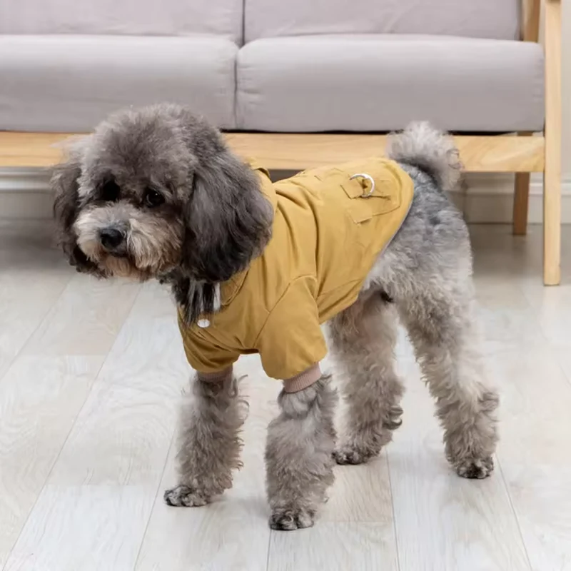 Hunde-Winterjacke mit Kapuze für kleine Hunde