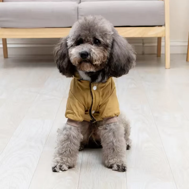 Hunde-Winterjacke mit Kapuze für kleine Hunde
