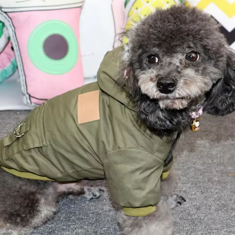 Hunde-Winterjacke mit Kapuze für kleine Hunde