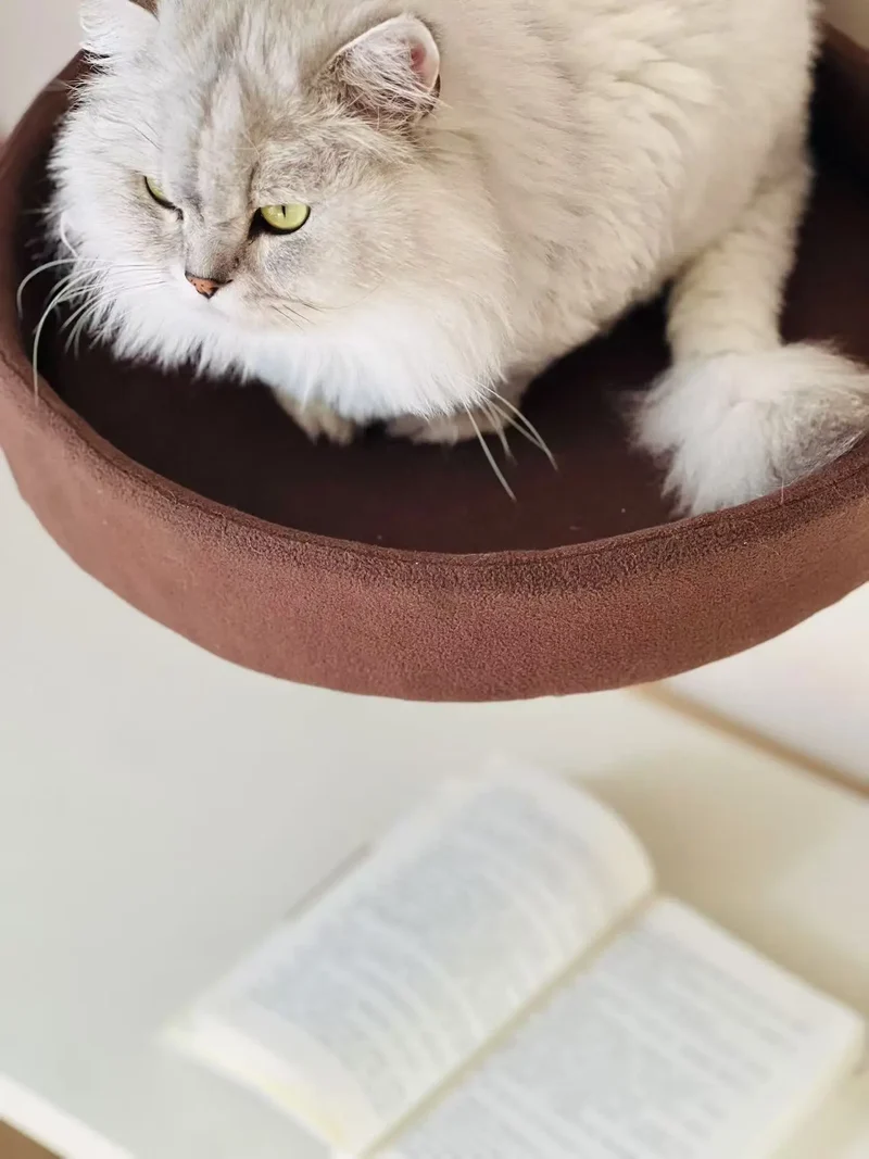 Schwebendes Katzenbett für den Schreibtisch mit 360° Drehung