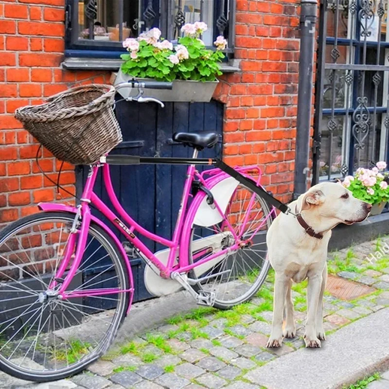 Fahrradleine für Hunde mit Abstandshalter & Stoßdämpfung