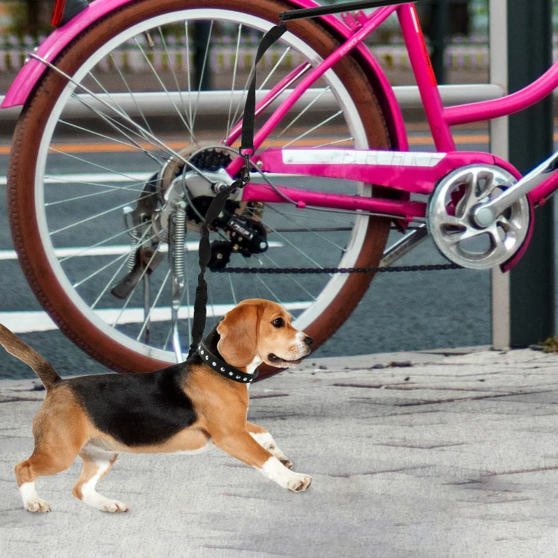 Fahrradleine für Hunde mit Abstandshalter & Stoßdämpfung
