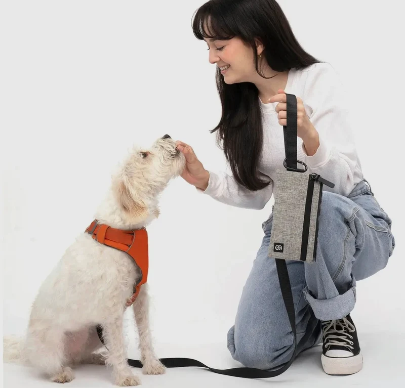 Cleverpup Porter Dog Gear Backpack