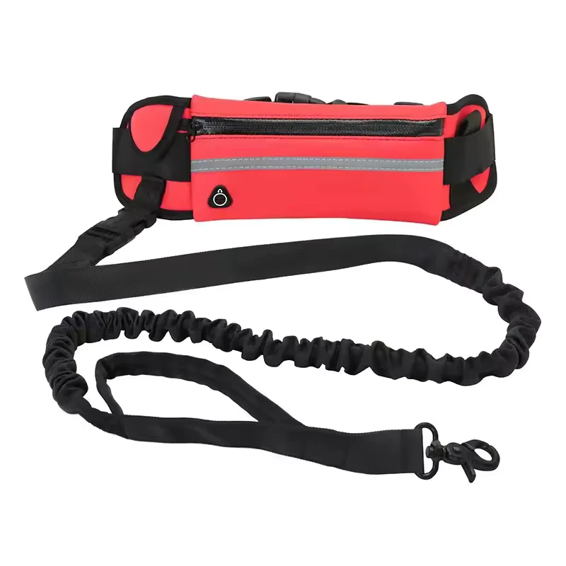 Freihand Hundeleine mit Bauchtasche & Bungee-Leine