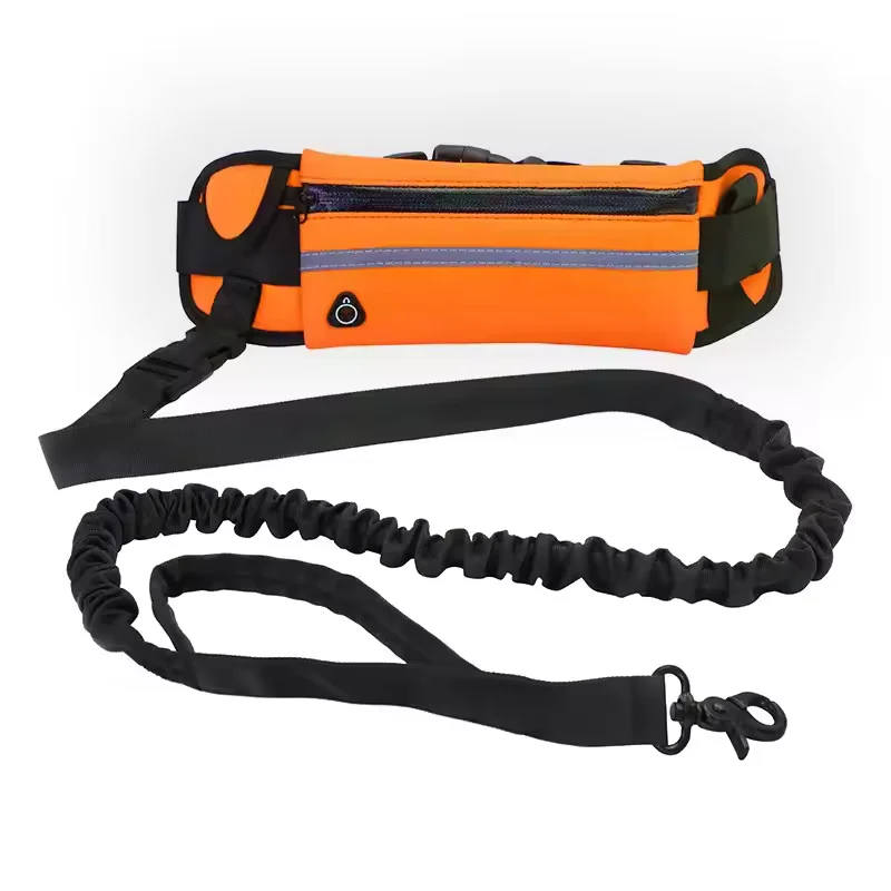 Freihand Hundeleine mit Bauchtasche & Bungee-Leine