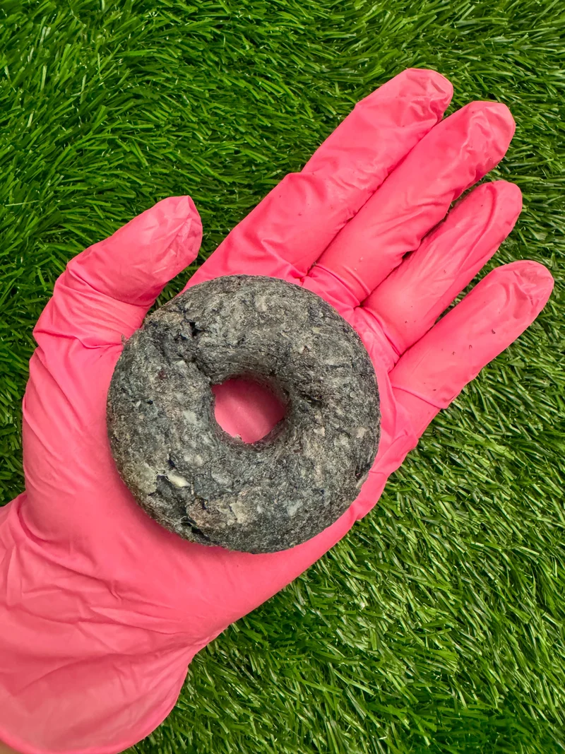 Duck & Spirulina Donut