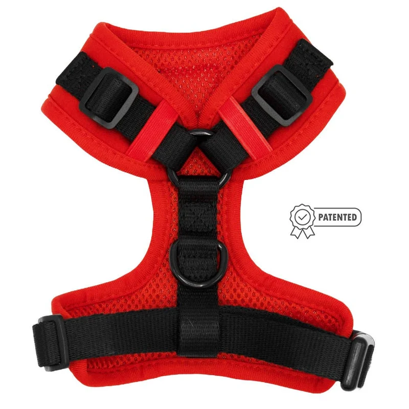 Neon Red Harness