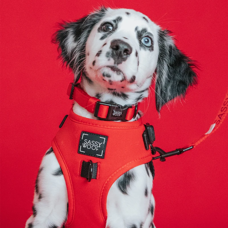 Neon Red Harness
