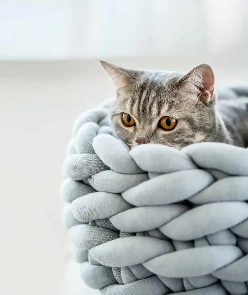 Handgeflochtenes Hundebett rund waschbar