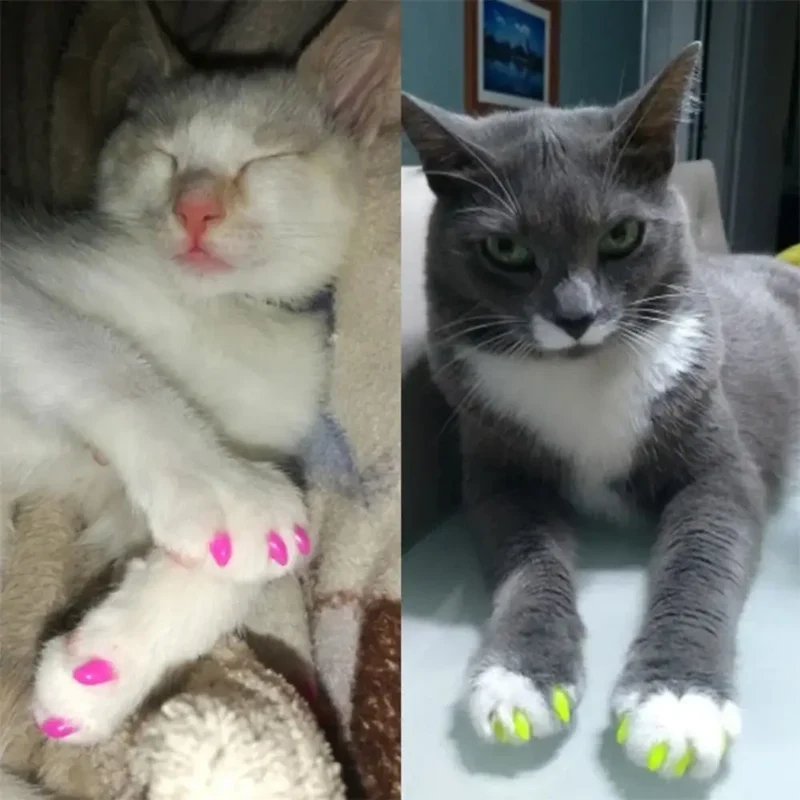 Katzenkrallenschutzhüllen weich & einfach anzubringen