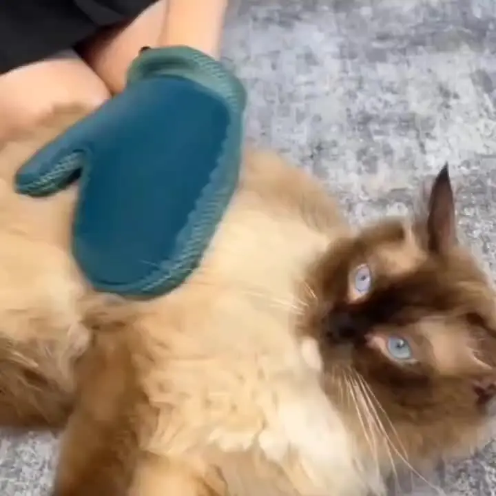 2-in-1 Tierpflege-Handschuh zur Haarentfernung