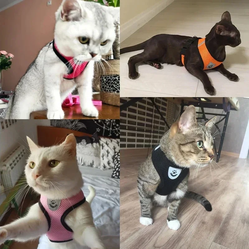 Hundegeschirr für Hunde & Katzen weich & verstellbar