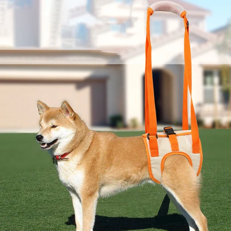 Ergonomischer Hebegurt für Hunde Hinterläufe