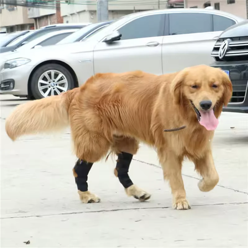 Gelenkstütze für Hunde stabilisierend & schützend