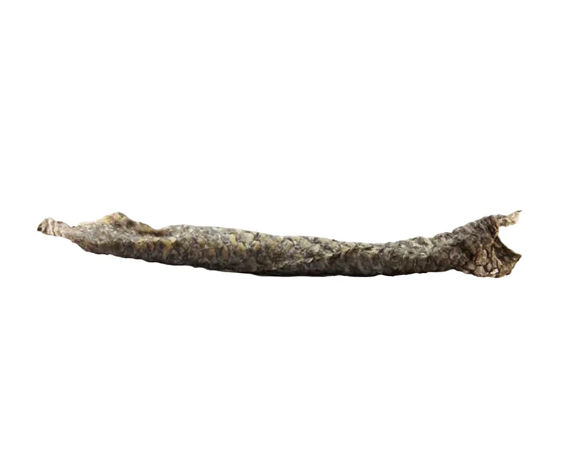 Tilapia Fish Skin