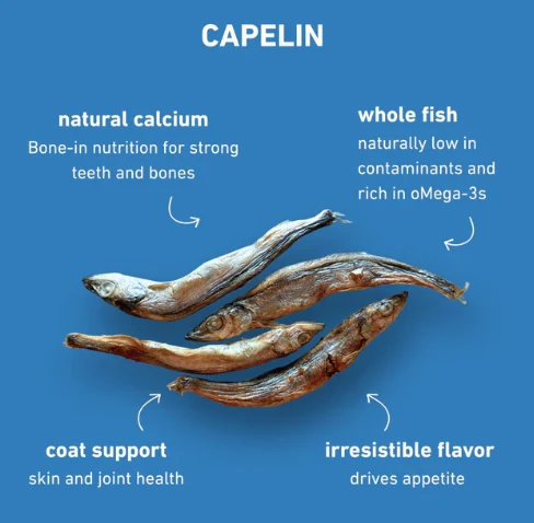 Capelin Pocket Treats
