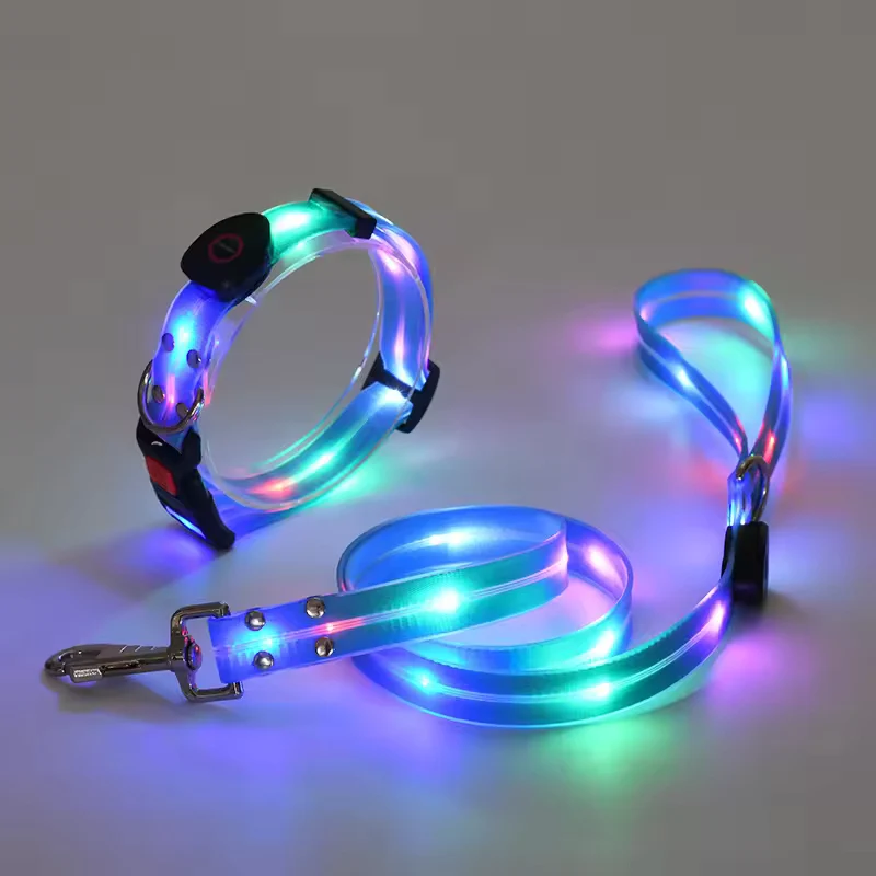 Leuchtendes LED Halsband & Leine für Hunde USB