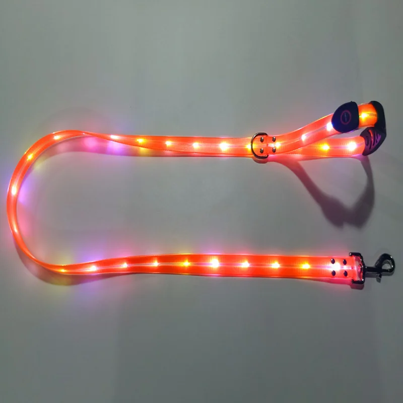 Leuchtendes LED Halsband & Leine für Hunde USB
