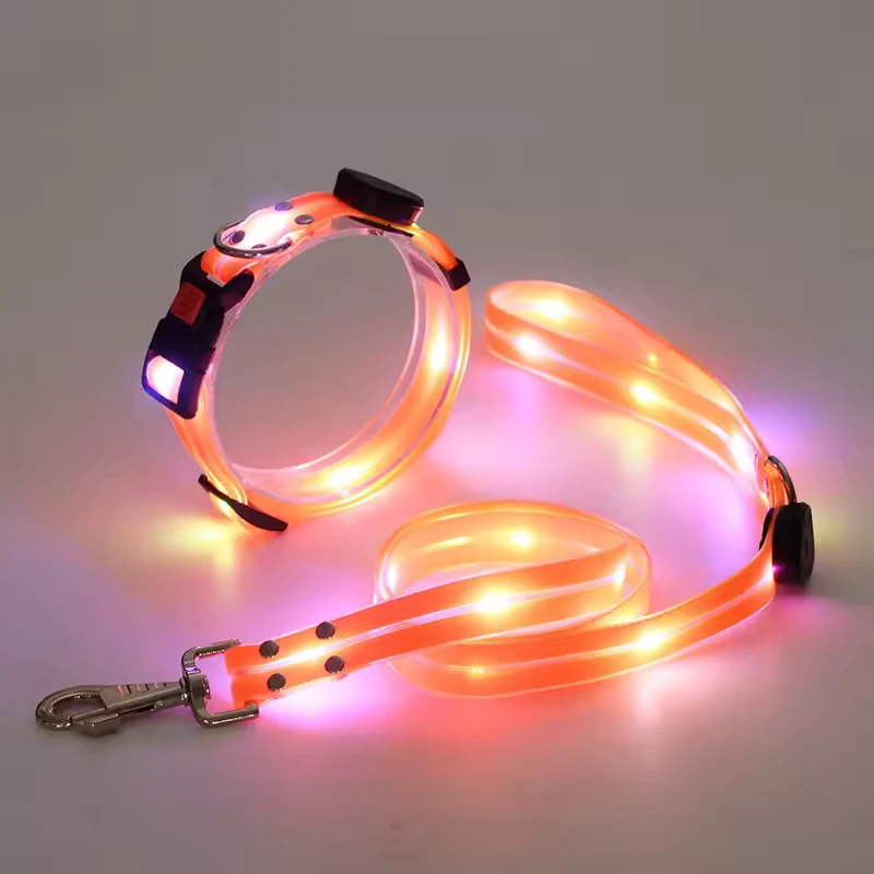 Leuchtendes LED Halsband & Leine für Hunde USB