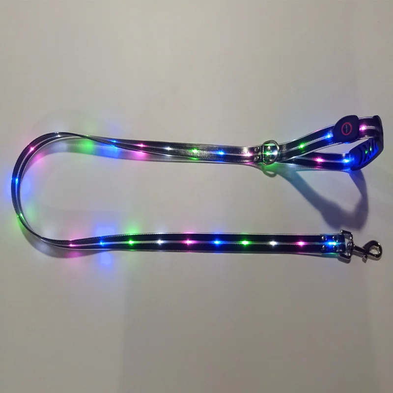 Leuchtendes LED Halsband & Leine für Hunde USB