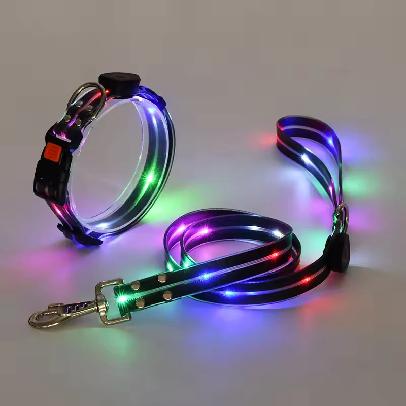 Leuchtendes LED Halsband & Leine für Hunde USB