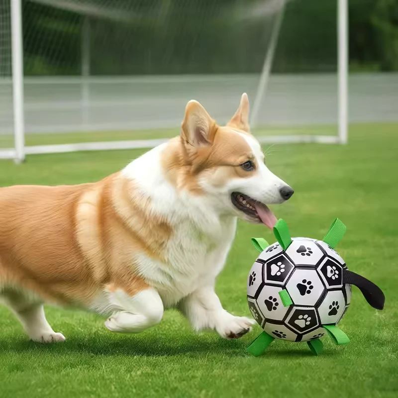 Robuster Hunde Spielball mit Griffen für Training