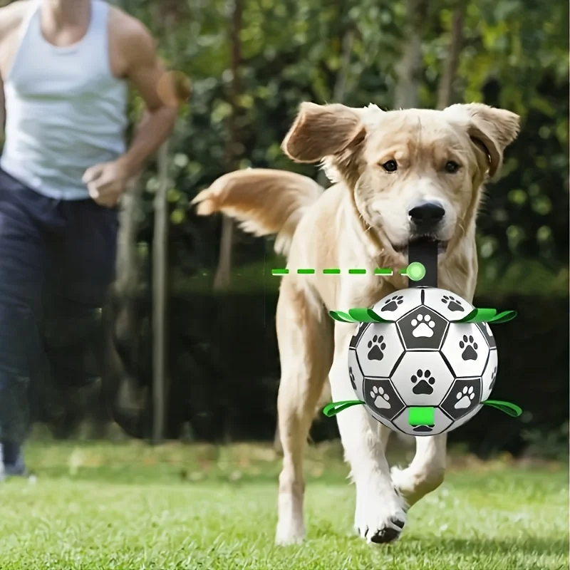 Robuster Hunde Spielball mit Griffen für Training