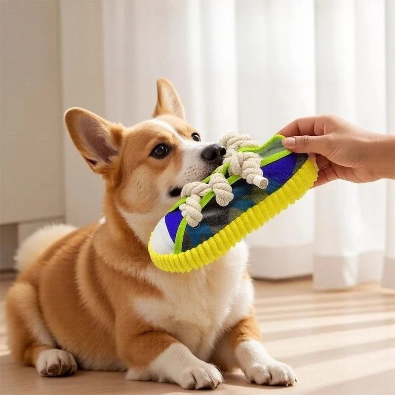 Robustes Hundespielzeug Sneaker mit Seil und Quietschfunktion