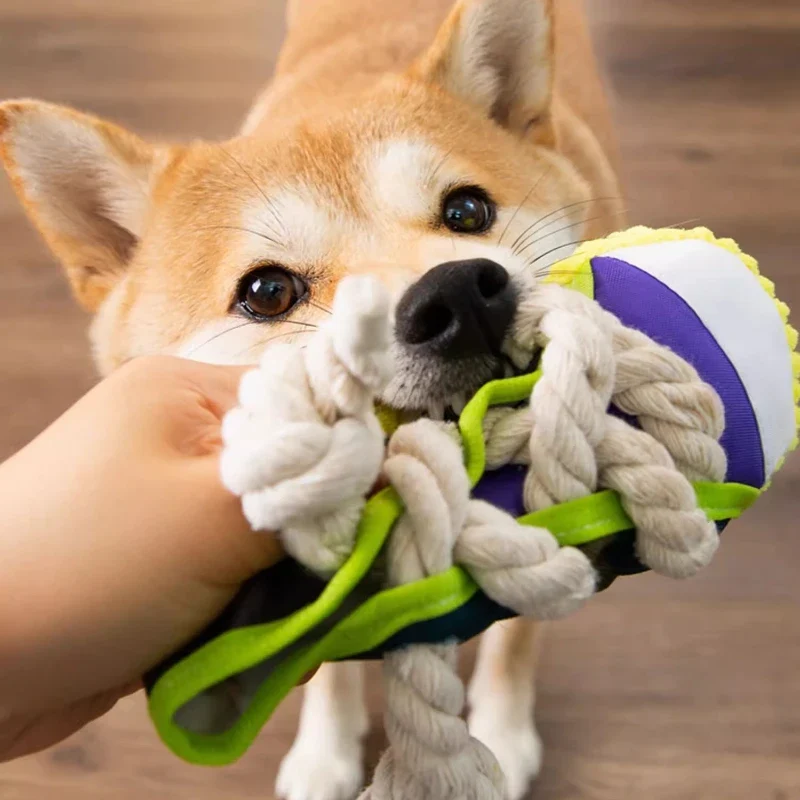 Robustes Hundespielzeug Sneaker mit Seil und Quietschfunktion