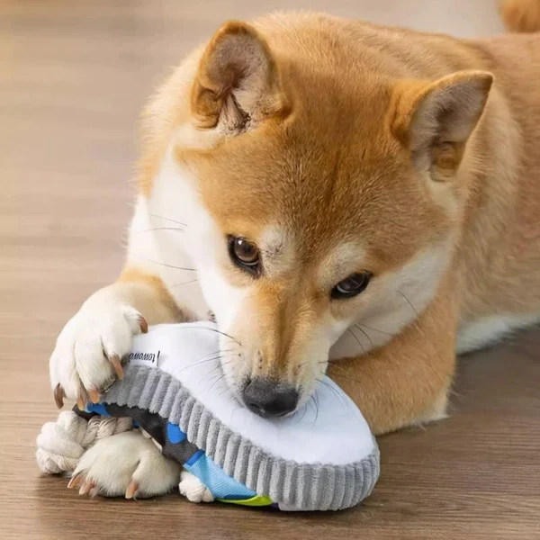 Robustes Hundespielzeug Sneaker mit Seil und Quietschfunktion