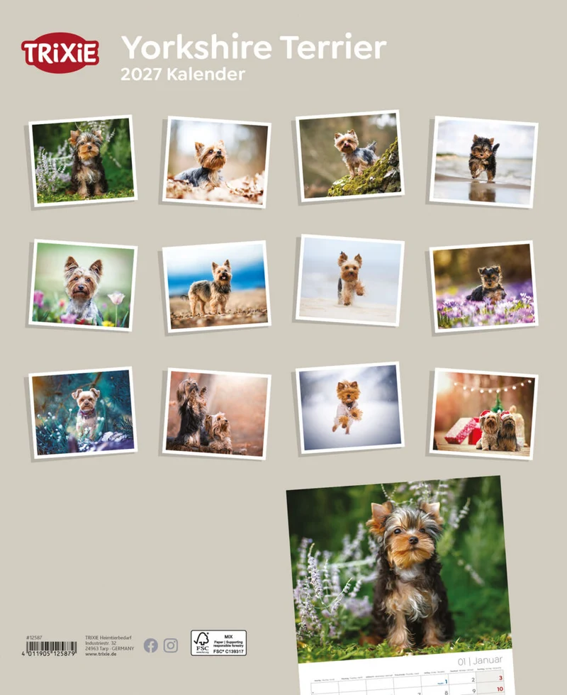 Kalender Yorkshire Terrier
