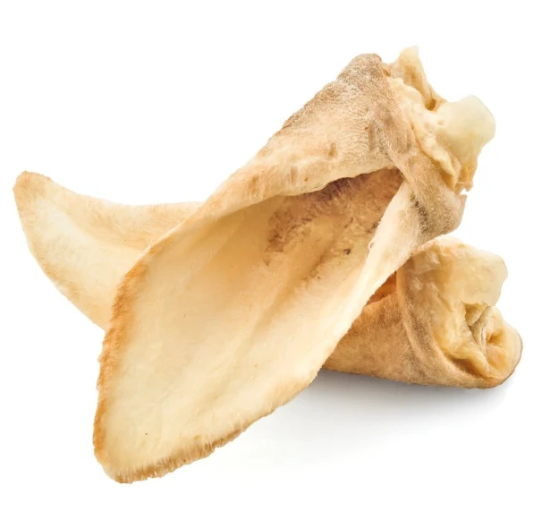 Lamb Ear