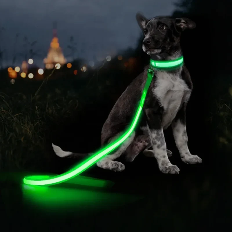LED Hundeleine für Nacht & Spaziergänge