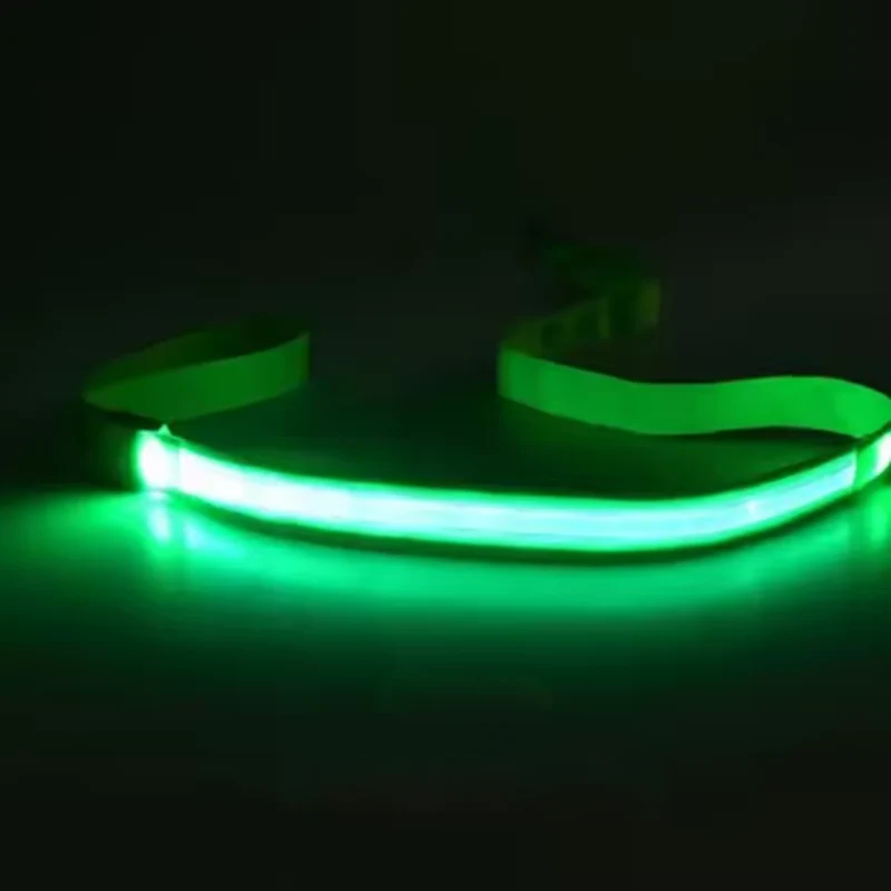 LED Hundeleine für Nacht & Spaziergänge