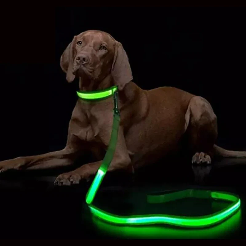 LED Hundeleine für Nacht & Spaziergänge