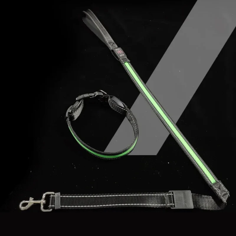 LED Hundeleine für Nacht & Spaziergänge