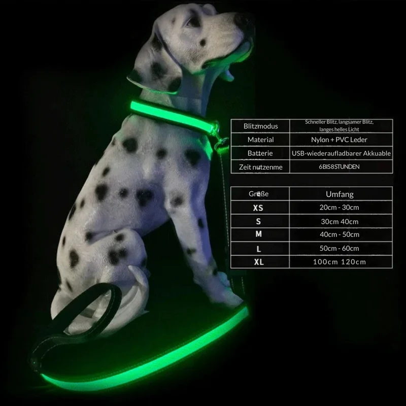 LED Hundeleine für Nacht & Spaziergänge