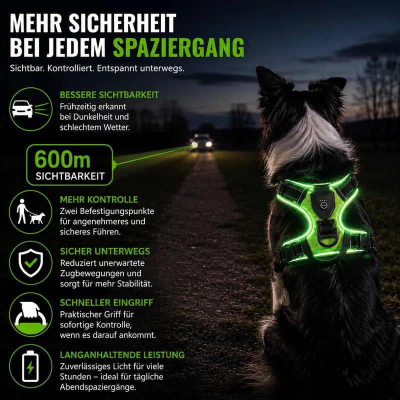 LED Hundegeschirr für bessere Sichtbarkeit nachts