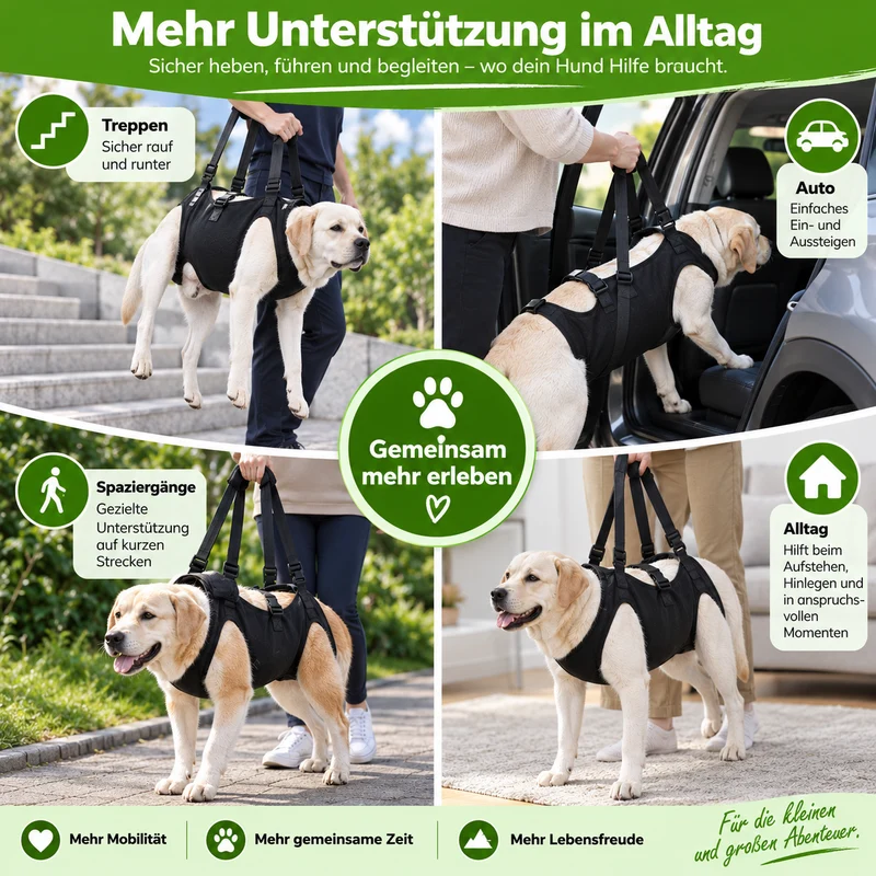 Reha-Hundegeschirr mit stabilem Tragegriff