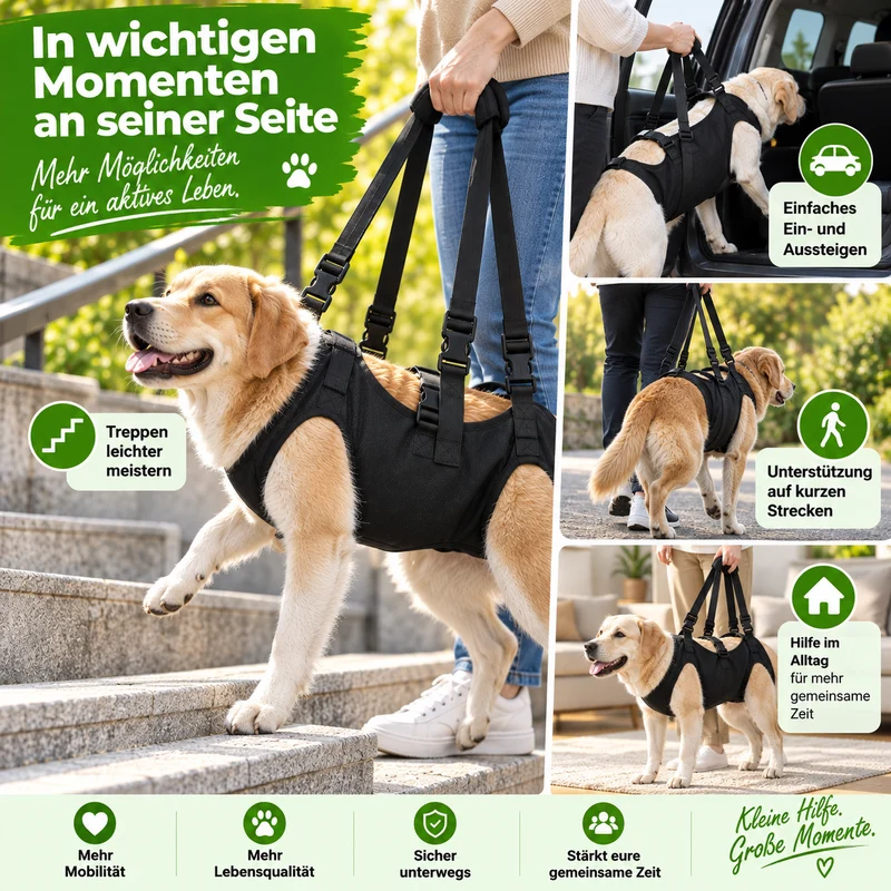 Reha-Hundegeschirr mit stabilem Tragegriff
