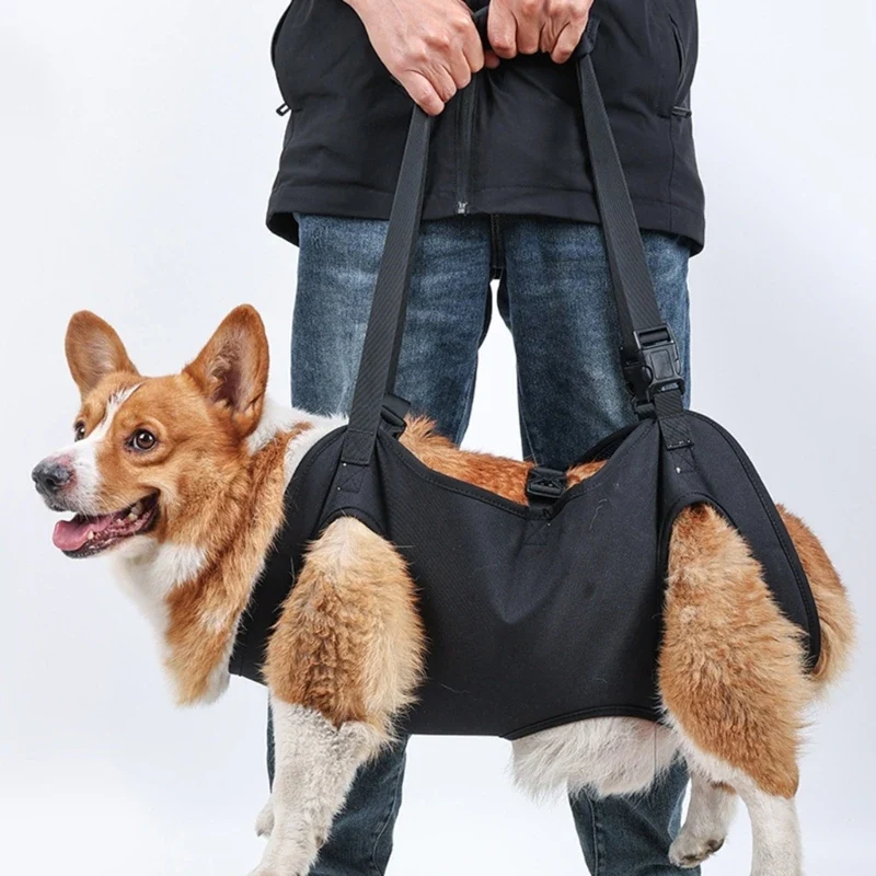 Reha-Hundegeschirr mit stabilem Tragegriff