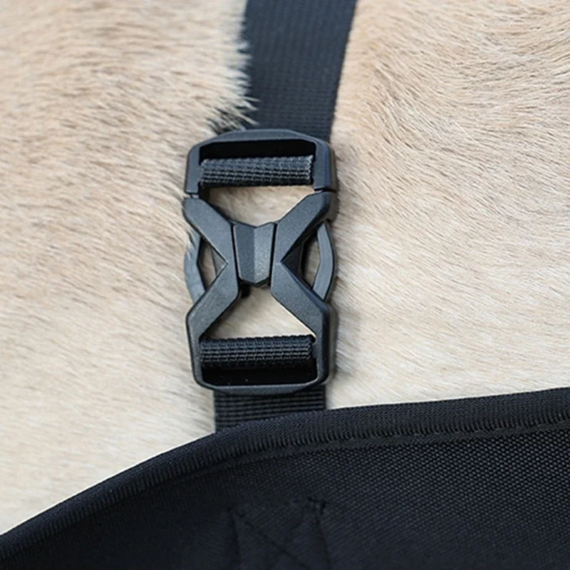 Reha-Hundegeschirr mit stabilem Tragegriff