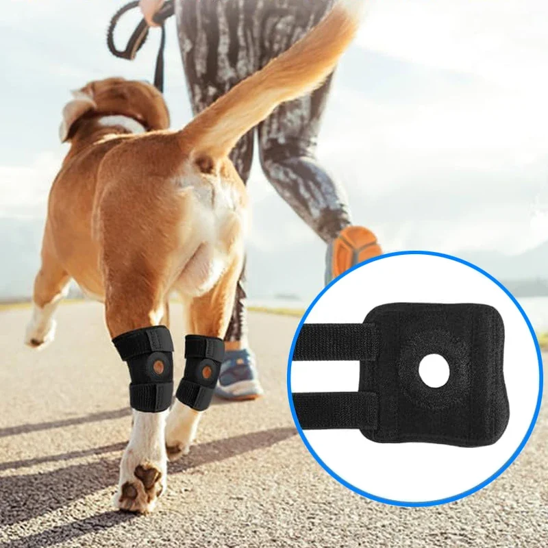 Orthopädische Gelenkbandage für Hunde stabilisierend