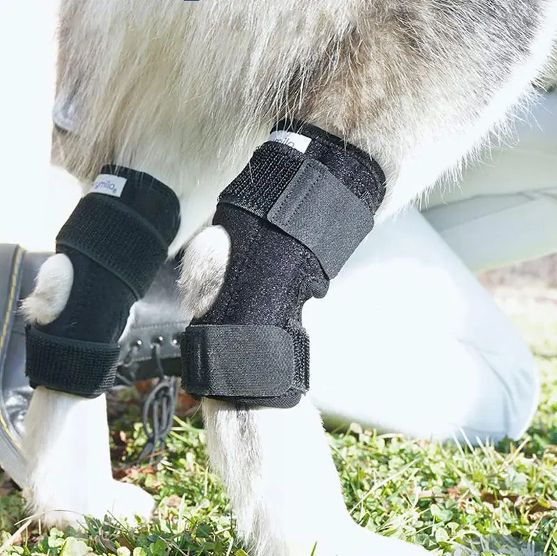 Orthopädische Gelenkbandage für Hunde stabilisierend
